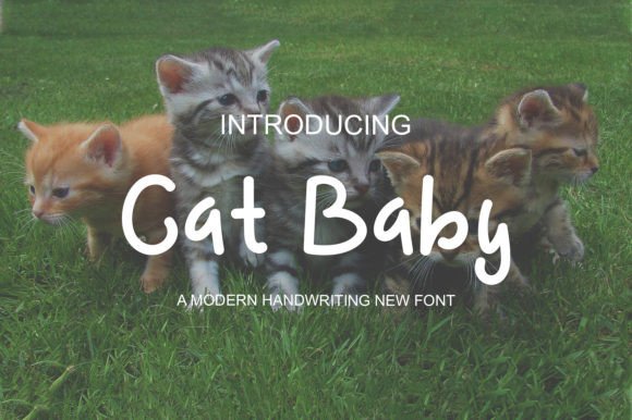 Cat Baby: A Playful Display Font for Joyful Digital Experiences