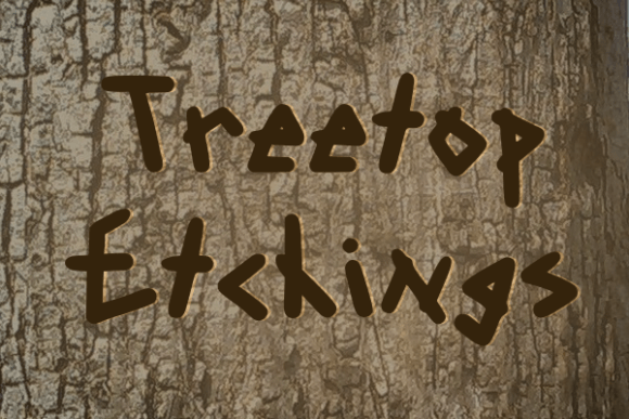 Treetop Etchings: A Thoughtful Display Typeface for Editorial Calm